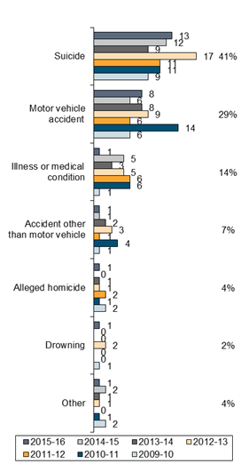 Chart - Circumstances of Deaths Children Aged 13-17