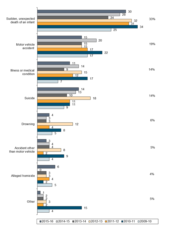 Chart - Circumstances of Child Deaths