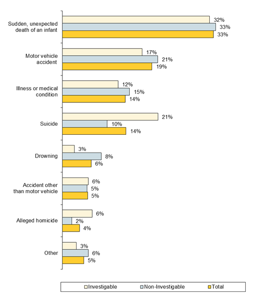 Chart - Circumstances of Child Deaths