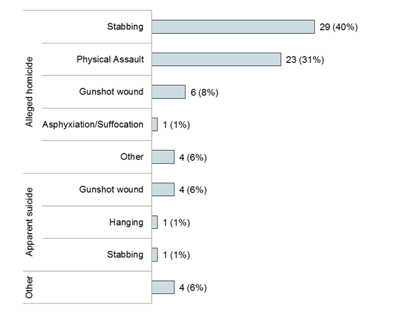 Chart - Circumstances of Death