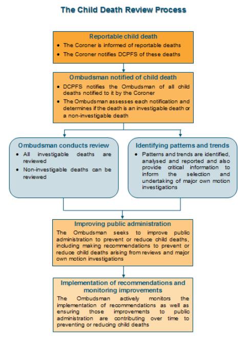 The Child Death Review Process